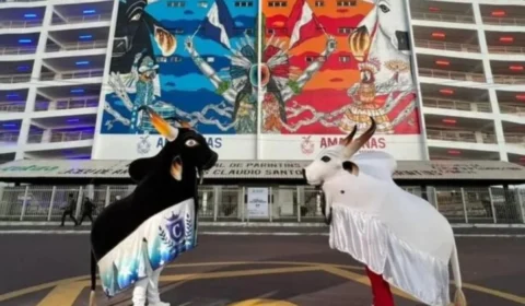 Senado reconhece Festival de Parintins como manifestação da cultura nacional