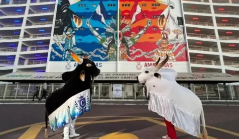 Festival de Parintins: quando vamos descobrir o campeão?