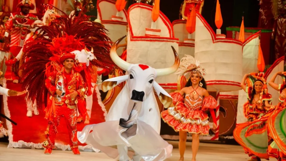 Festival de Parintins: em quais anos o Boi Garantido foi vencedor?