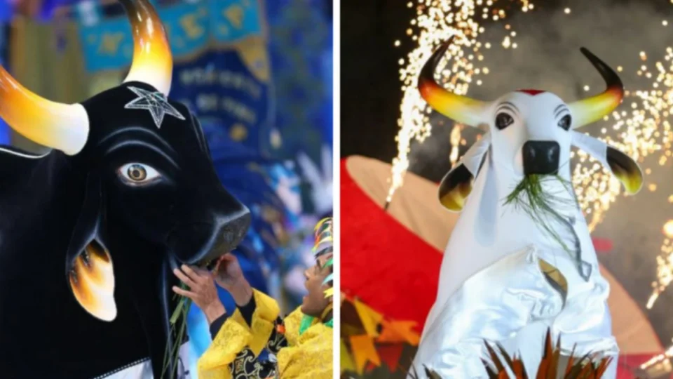 Festival de Parintins: novo regulamento polêmico da competição chama atenção