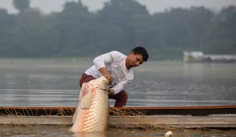 Em Manaus, G20 discute bioeconomia e sustentabilidade com povos da Amazônia