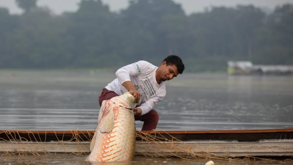 Em Manaus, G20 discute bioeconomia e sustentabilidade com povos da Amazônia