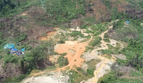 Terra Yanomami: Sete rios e afluentes estão contaminados por mercúrio usado em garimpos
