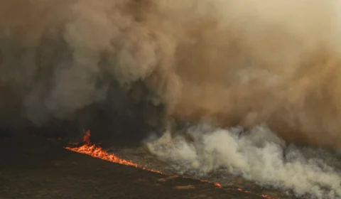 Entenda os impactos dos incêndios florestais na vida dos brasileiros