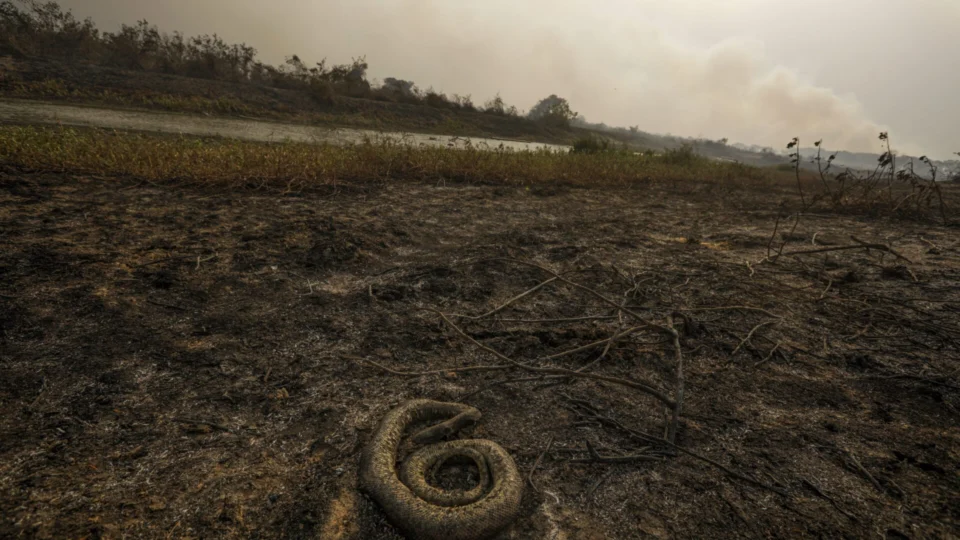 Ministros se reúnem para acompanhar incêndios no Pantanal