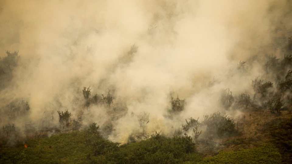 Brasil Lidera ranking de incêndios na América do Sul