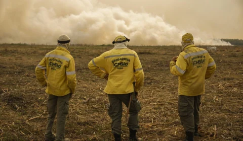 Incêndios no Pantanal devastam área três vezes o tamanho de SP