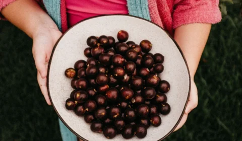 Suco de jabuticaba pode reduzir níveis de colesterol? Veja benefícios