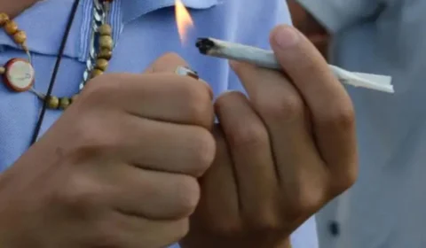Maconha: quantos usuários há no Brasil, afinal de contas?