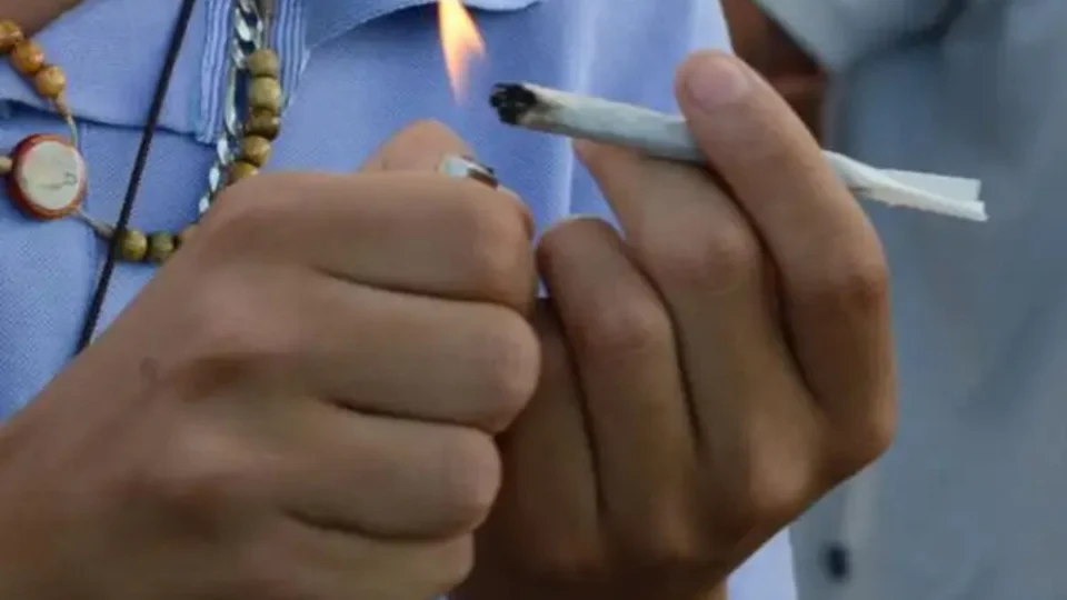 Maconha: quantos usuários há no Brasil, afinal de contas?
