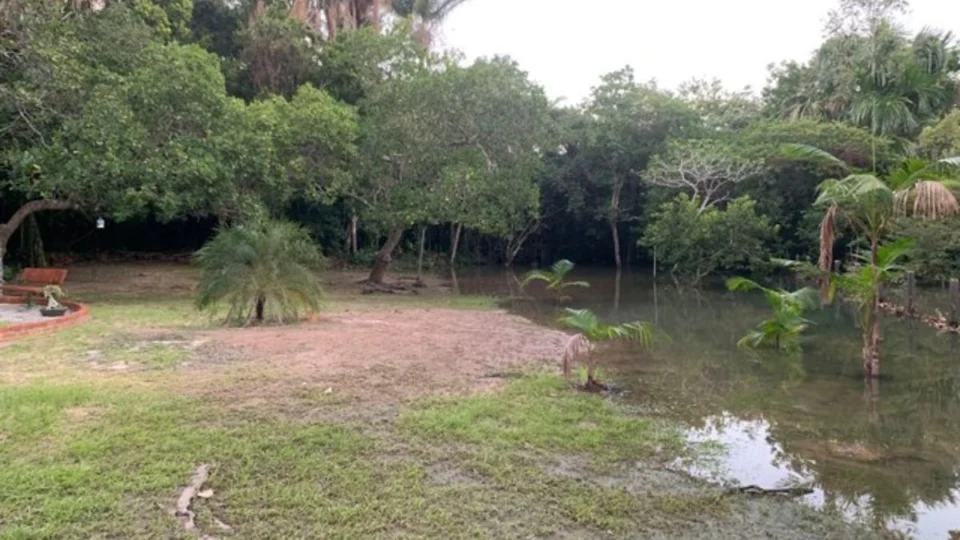 Projeto de tratamento de efluentes do IFRR é selecionado para receber apoio de R$ 40 mil