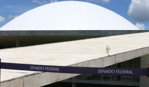 Comissão do Senado aprova tipificar crime de apologia à ditadura
