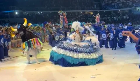 Festival de Parintins: Sinhazinha recebe o Boi Caprichoso no Bumbódromo