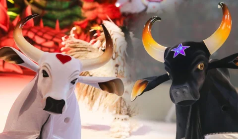 O que é o ‘Boi-Bumbá evolução’? Conheça item 10 do Festival de Parintins e saiba seu significado