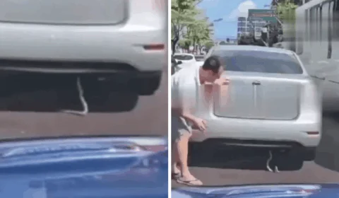 VÍDEO: motorista encontra cobra em carro e para trânsito em Manaus