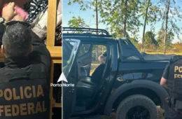 Funai repudia atentado a servidor e indígenas em Seringueiras (RO)