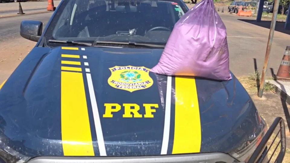 PRF apreende 20kg de cocaína em ônibus, em Paraíso do TO