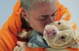 Cachorro de MC Daniel morre fatalmente em acidente