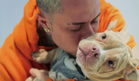 Cachorro de MC Daniel morre fatalmente em acidente