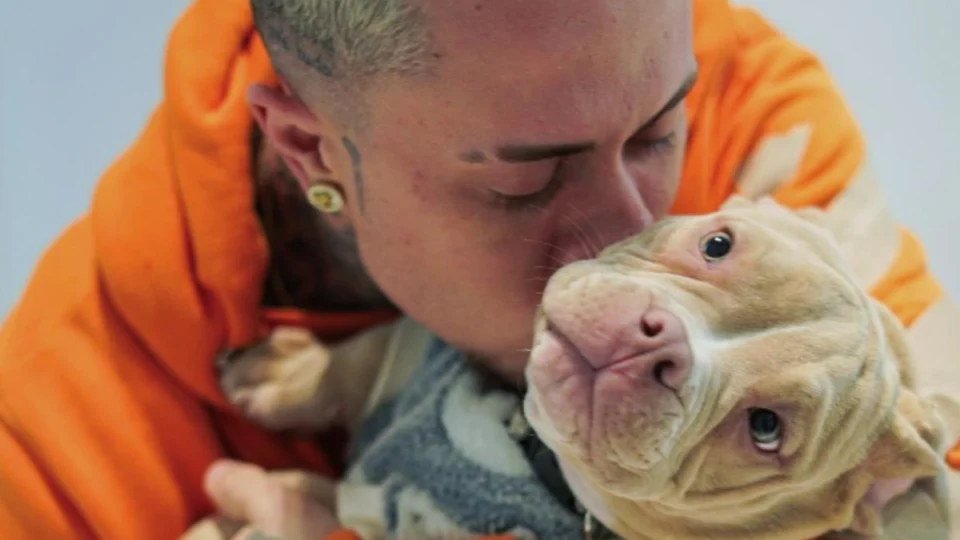 Cachorro de MC Daniel morre fatalmente em acidente