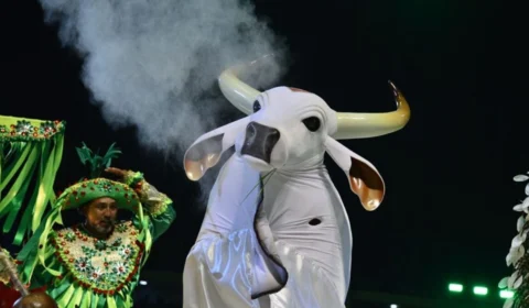 Garantido: itens menos pontuados no Festival de Parintins 2024