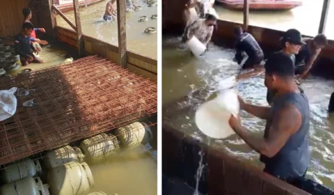 Seca no Amazonas: Envira declara calamidade e enfrenta prejuízos