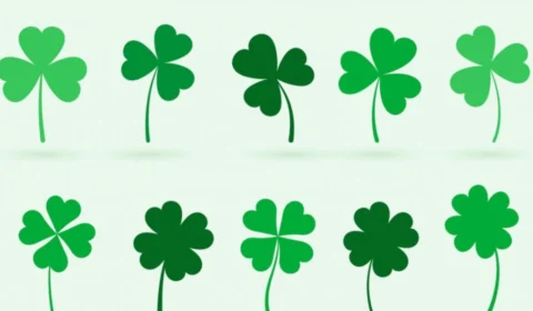 Dia de Sorte 943: aposta de Recife acerta números e leva R$ 3,4 milhões