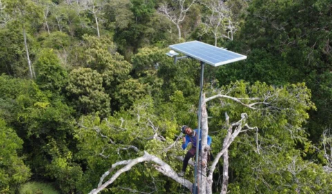 Projeto na Amazônia é finalista em competição que premia 10 milhões de dólares