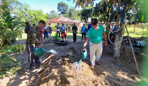 Efeitos da seca no Amazonas podem ser amenizados na zona rural; entenda