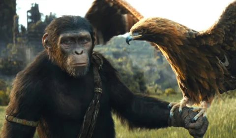 Veja os principais lançamentos da Disney+ e Max em agosto