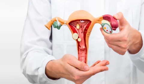 Câncer cervical: Amazonas deve registrar 1,8 mil casos até 2026; entenda