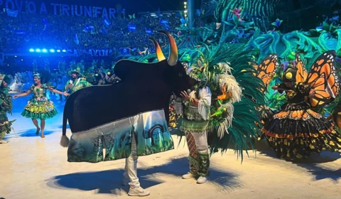 Festival de Parintins: Caprichoso é campeão da 57ª edição