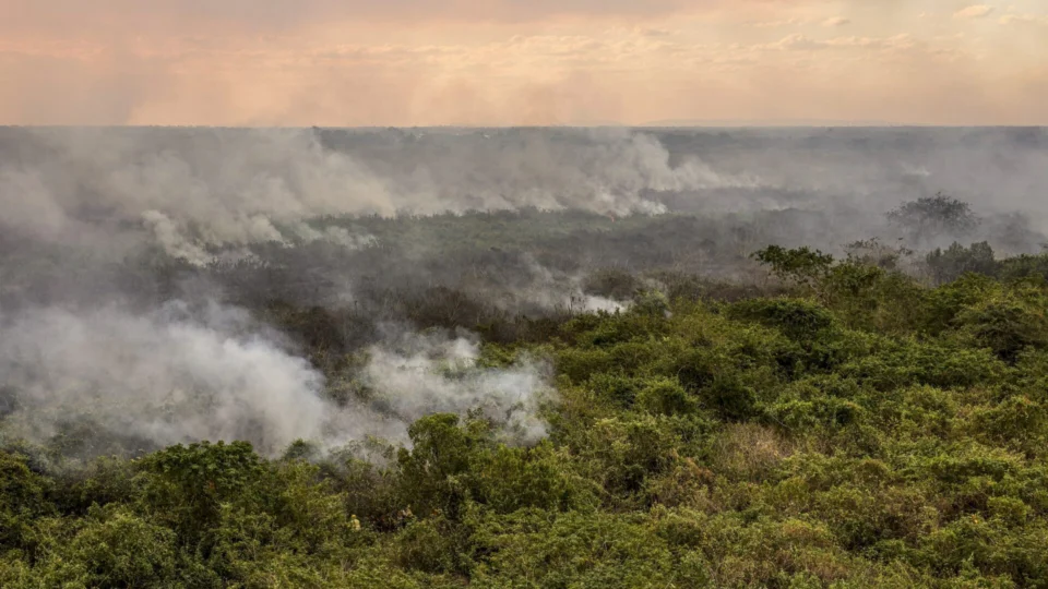 Incêndios no Pantanal têm 96% dos focos controlados