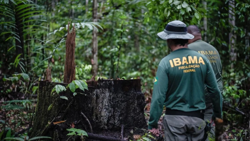 Concurso Ibama: edital é autorizado com 260 vagas e salário de R$10 mil; veja
