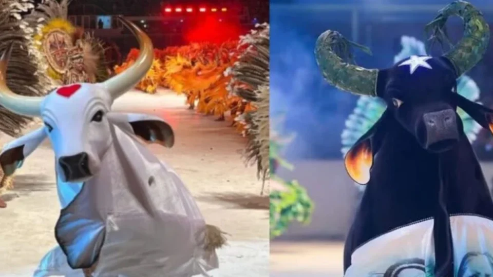 Festival de Parintins: onde assistir a apuração do resultado?