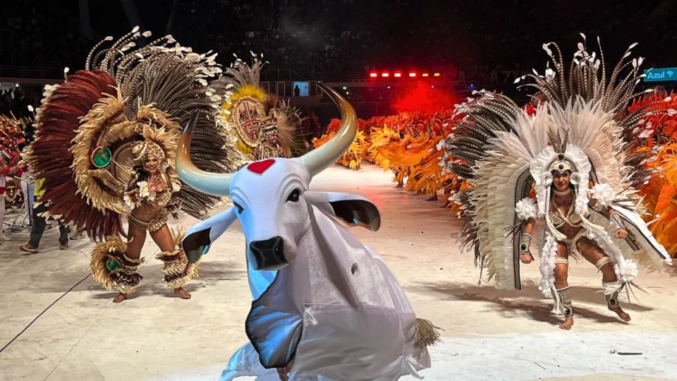 Festival de Parintins: veja quais itens receberam menores notas no Garantido