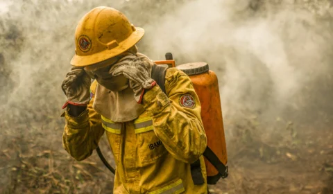 Incêndios no Pantanal: 55% dos focos registrados foram extintos
