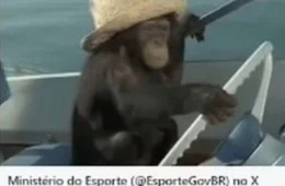 Olimpíadas 2024: Ministério posta e apaga conteúdo racista sobre barco do Brasil; veja