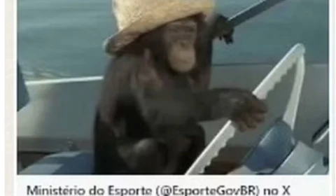 Olimpíadas 2024: Ministério posta e apaga conteúdo racista sobre barco do Brasil; veja