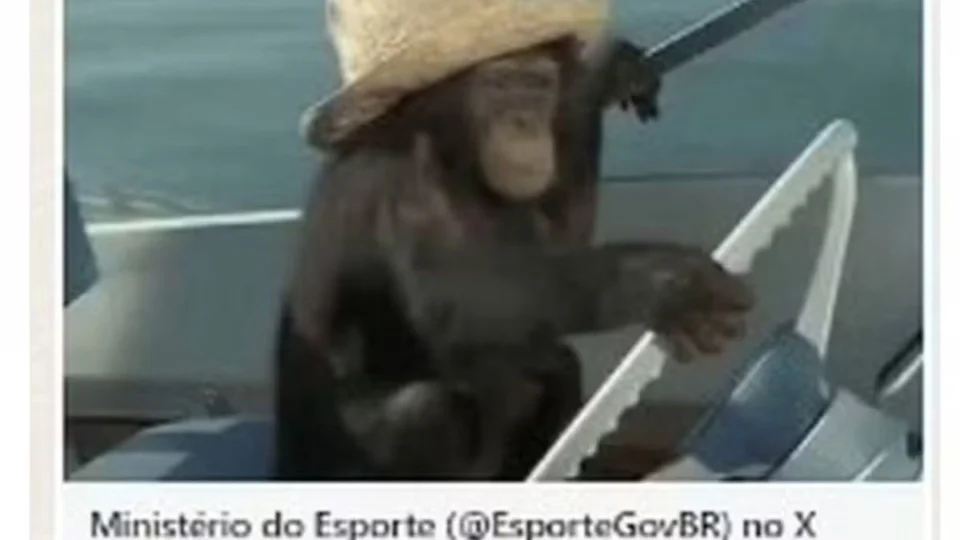 Olimpíadas 2024: Ministério posta e apaga conteúdo racista sobre barco do Brasil; veja