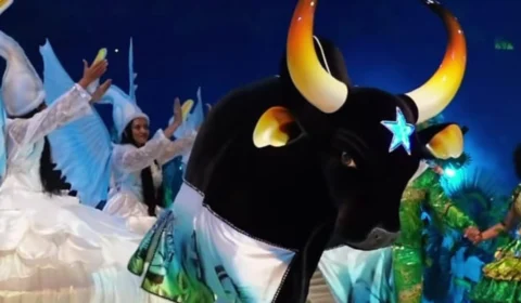 Festival de Parintins: veja itens com nota abaixo de 10 no Caprichoso