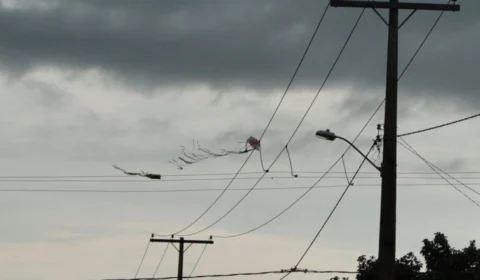 Pipas causam aumento na interrupção de energia no Tocantins