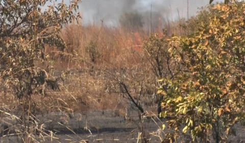 Naturatins suspende autorização de queima controlada no TO