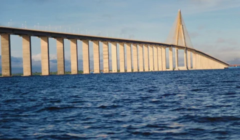 Rio Negro: saiba quanto a água já desceu desde o início da seca