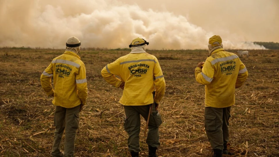 STJ suspende greve de servidores federais do meio ambiente