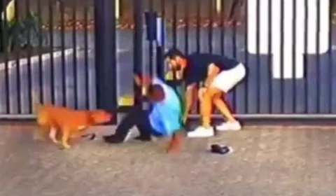 VÍDEO: ‘Pitbull’ ataca 5 pessoas em festa infantil na Bahia