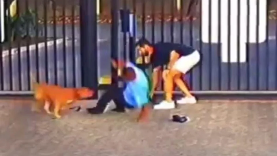 VÍDEO: ‘Pitbull’ ataca 5 pessoas em festa infantil na Bahia