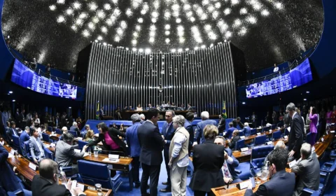 Senadores farão esforço para votar desoneração e dívida dos estados