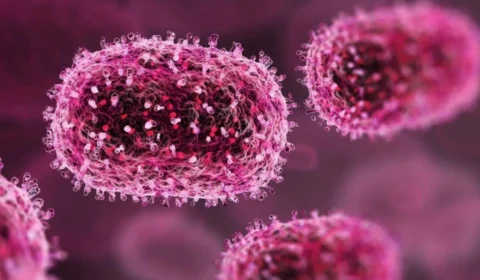 Mpox: saiba qual é a taxa de mortalidade da doença