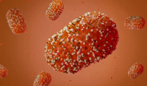 Mpox: organização faz apelo ao mundo por vacinas; veja